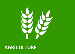 Centre for Policy Research in Agriculture and Rural Development
